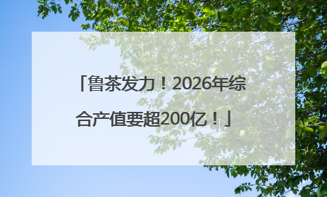 鲁茶发力！2026年综合产值要超200亿！