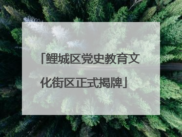 鲤城区党史教育文化街区正式揭牌
