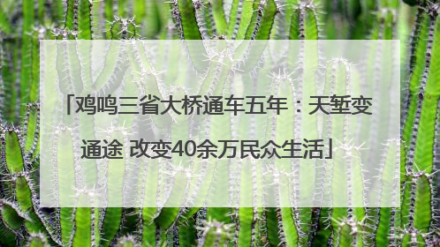 鸡鸣三省大桥通车五年：天堑变通途 改变40余万民众生活