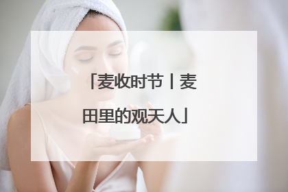 麦收时节丨麦田里的观天人