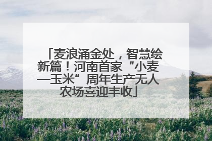 麦浪涌金处，智慧绘新篇！河南首家“小麦—玉米”周年生产无人农场喜迎丰收
