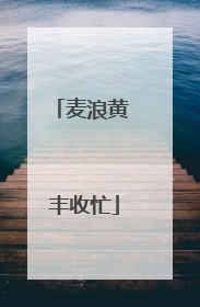 麦浪黄 丰收忙