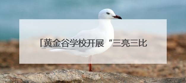 黄金谷学校开展“三亮三比”党员先锋示范系列活动