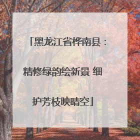黑龙江省桦南县：精修绿韵绘新景 细护芳枝映晴空
