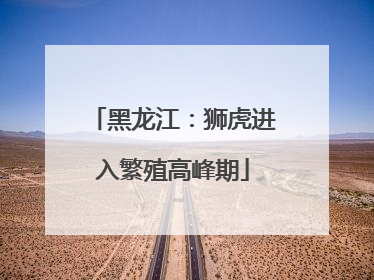 黑龙江：狮虎进入繁殖高峰期