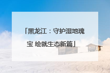 黑龙江：守护湿地瑰宝 绘就生态新篇