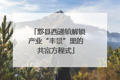 黟县西递镇解锁产业“丰景”里的共富方程式