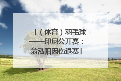 （体育）羽毛球——印尼公开赛：翁泓阳因伤退赛