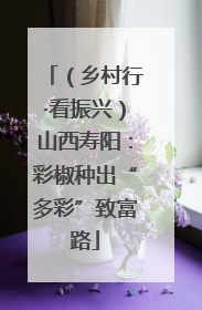 （乡村行·看振兴）山西寿阳：彩椒种出“多彩”致富路