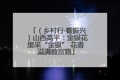 （乡村行·看振兴）山西高平：金银花里采“金银” 花香溢满致富路