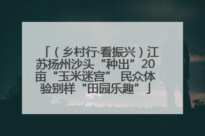 （乡村行·看振兴）江苏扬州沙头“种出”20亩“玉米迷宫” 民众体验别样“田园乐趣”