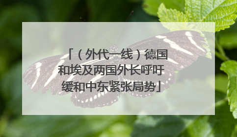 （外代一线）德国和埃及两国外长呼吁缓和中东紧张局势