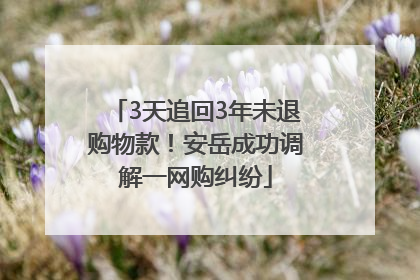 3天追回3年未退购物款！安岳成功调解一网购纠纷
