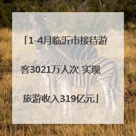 1-4月临沂市接待游客3021万人次 实现旅游收入319亿元