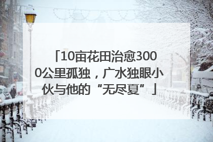 10亩花田治愈3000公里孤独，广水独眼小伙与他的“无尽夏”