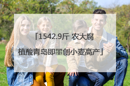 1542.9斤 农大腐植酸青岛即墨创小麦高产