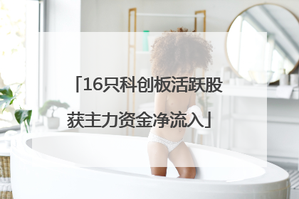 16只科创板活跃股获主力资金净流入