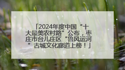 2024年度中国“十大最美农村路”公布，枣庄市台儿庄区“鲁风运河”古城文化廊道上榜！