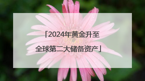 2024年黄金升至全球第二大储备资产