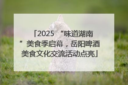 2025 “味道湖南”美食季启幕，岳阳啤酒美食文化交流活动点亮