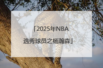 2025年NBA选秀球员之杨瀚森