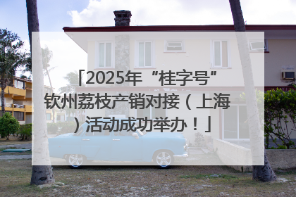 2025年“桂字号”钦州荔枝产销对接（上海）活动成功举办！