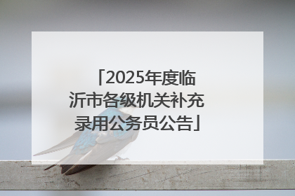 2025年度临沂市各级机关补充录用公务员公告