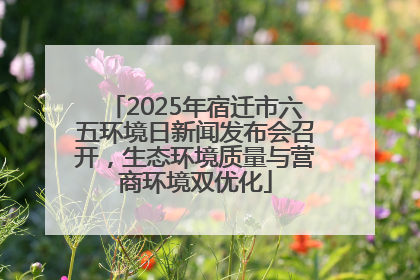 2025年宿迁市六五环境日新闻发布会召开，生态环境质量与营商环境双优化
