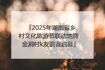 2025年湖南省乡村文化旅游节联动地暨金洞村k友谊赛启幕