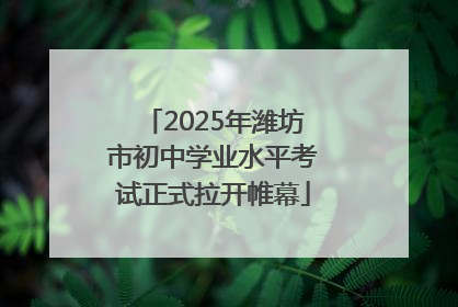 2025年潍坊市初中学业水平考试正式拉开帷幕