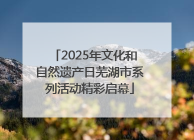 2025年文化和自然遗产日芜湖市系列活动精彩启幕