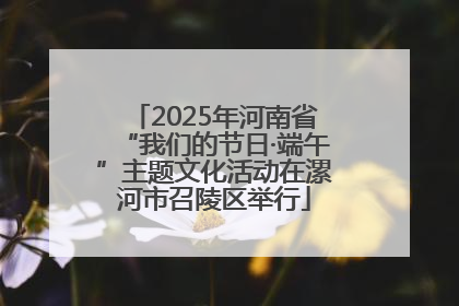 2025年河南省“我们的节日·端午”主题文化活动在漯河市召陵区举行