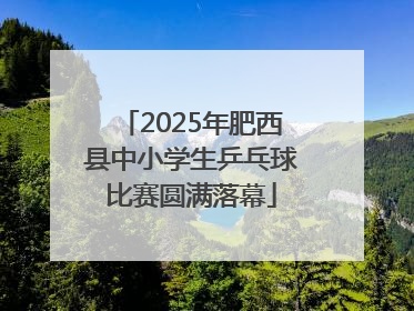 2025年肥西县中小学生乒乓球比赛圆满落幕