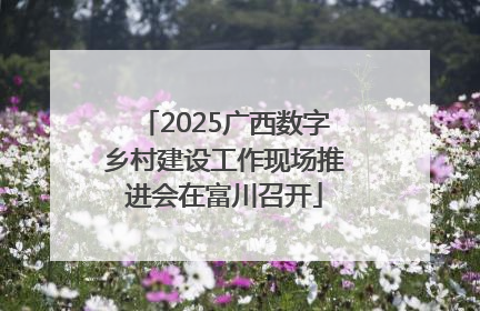 2025广西数字乡村建设工作现场推进会在富川召开