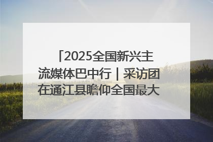 2025全国新兴主流媒体巴中行｜采访团在通江县瞻仰全国最大红军烈士陵园