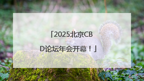2025北京CBD论坛年会开幕！