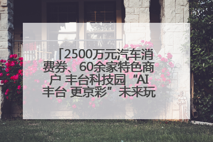 2500万元汽车消费券、60余家特色商户 丰台科技园“AI丰台 更京彩”未来玩家市集活动正式开幕