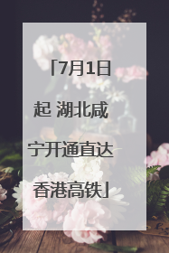 7月1日起 湖北咸宁开通直达香港高铁