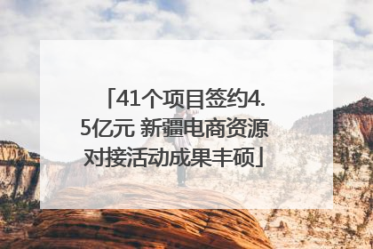 41个项目签约4.5亿元 新疆电商资源对接活动成果丰硕