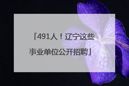 491人！辽宁这些事业单位公开招聘