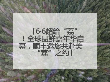 6·6超给“荔”！全球品鲜嘉年华启幕，顺丰邀您共赴美“荔”之约