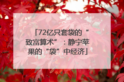 72亿只套袋的“致富算术”：静宁苹果的“袋”中经济