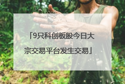 9只科创板股今日大宗交易平台发生交易