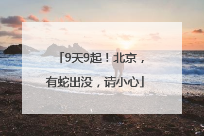 9天9起！北京，有蛇出没，请小心