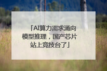 AI算力需求涌向模型推理，国产芯片站上竞技台了