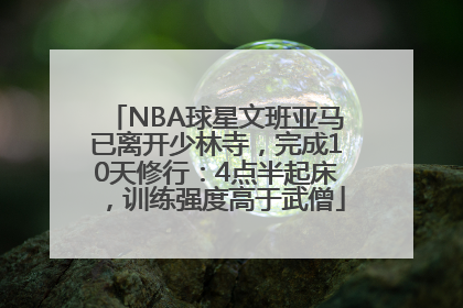 NBA球星文班亚马已离开少林寺，完成10天修行：4点半起床，训练强度高于武僧