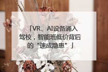 VR、AI设备涌入驾校，智能班低价背后的“速成隐患”