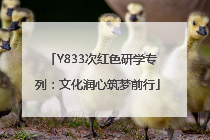 Y833次红色研学专列：文化润心筑梦前行
